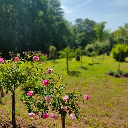 Apartman Jezerski Raj Borsko Jezero