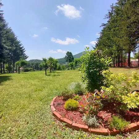 Jezerski Raj Borsko Jezero *