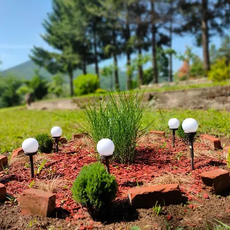 Jezerski Raj Borsko Jezero Appartement Bor