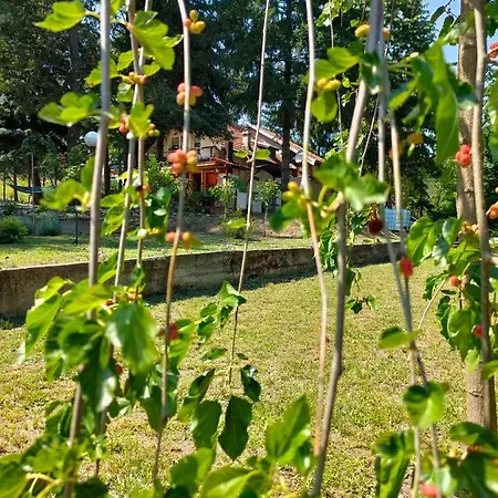 Jezerski Raj Borsko Jezero *