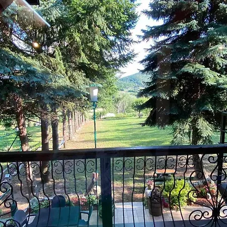 Jezerski Raj Borsko Jezero * Bor