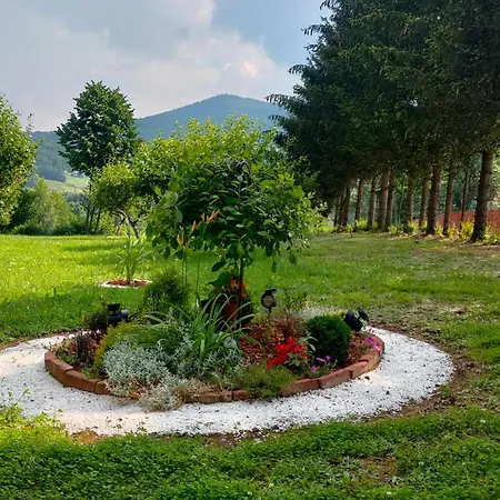 Jezerski Raj Borsko Jezero Bor