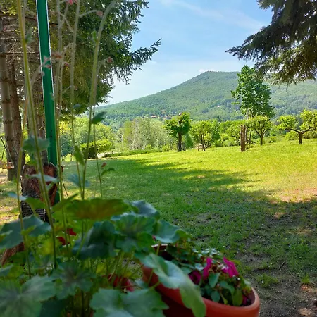 Jezerski Raj Borsko Jezero Appartement *