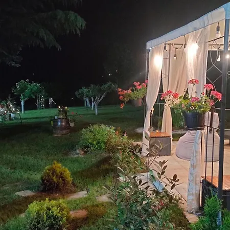 Jezerski Raj Borsko Jezero