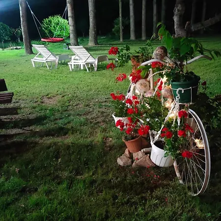 Jezerski Raj Borsko Jezero *