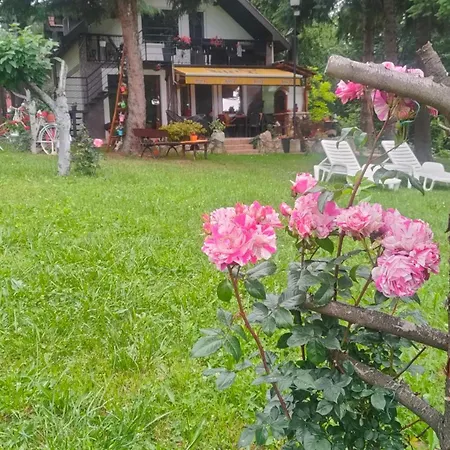 Jezerski Raj Borsko Jezero