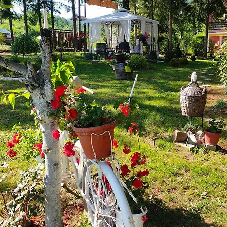 Jezerski Raj Borsko Jezero Bor