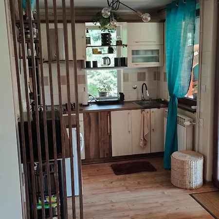 Jezerski Raj Borsko Jezero * Bor