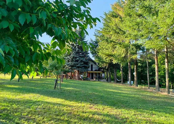 Апартаменты Jezerski Raj Borsko Jezero Бор