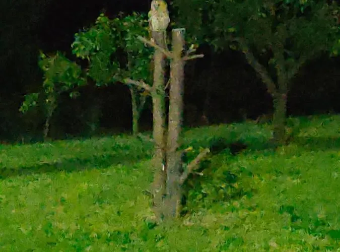 Jezerski Raj Borsko Jezero * Бор