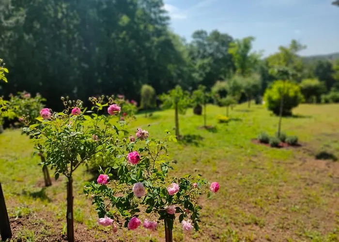 Апартаменты Jezerski Raj Borsko Jezero