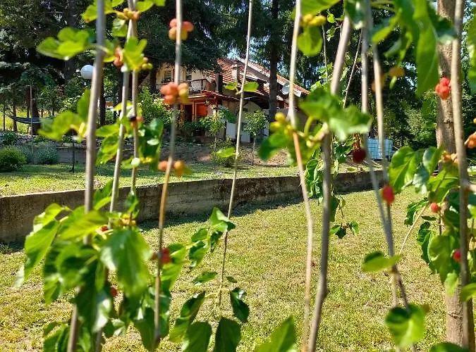 Jezerski Raj Borsko Jezero *