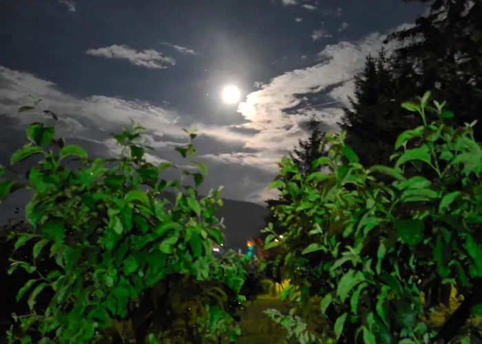 Jezerski Raj Borsko Jezero * Бор