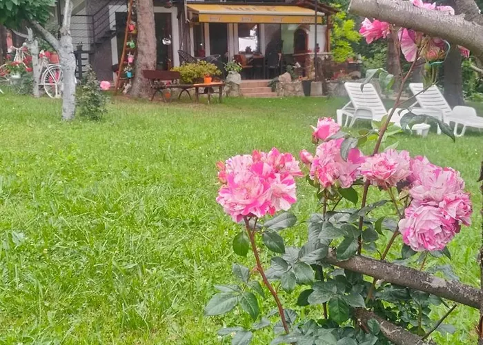 Jezerski Raj Borsko Jezero