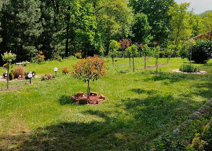 Апартаменты Jezerski Raj Borsko Jezero Бор