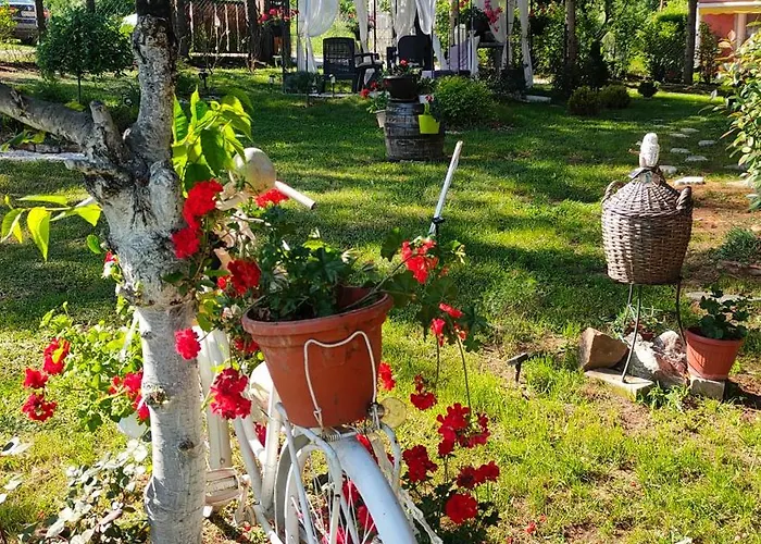 Jezerski Raj Borsko Jezero Бор