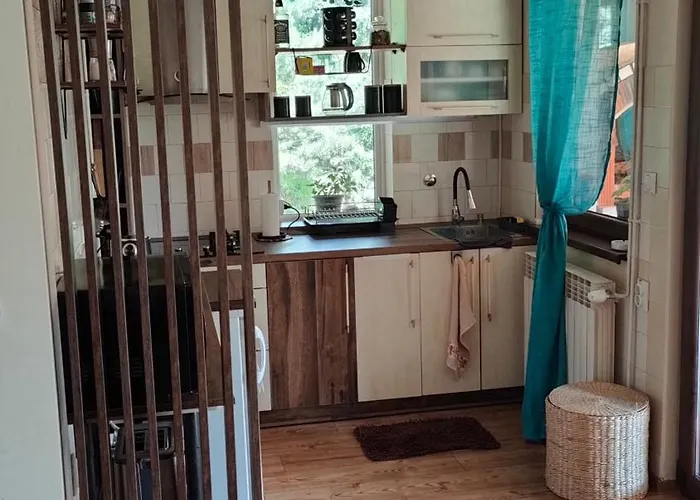 Jezerski Raj Borsko Jezero * Бор